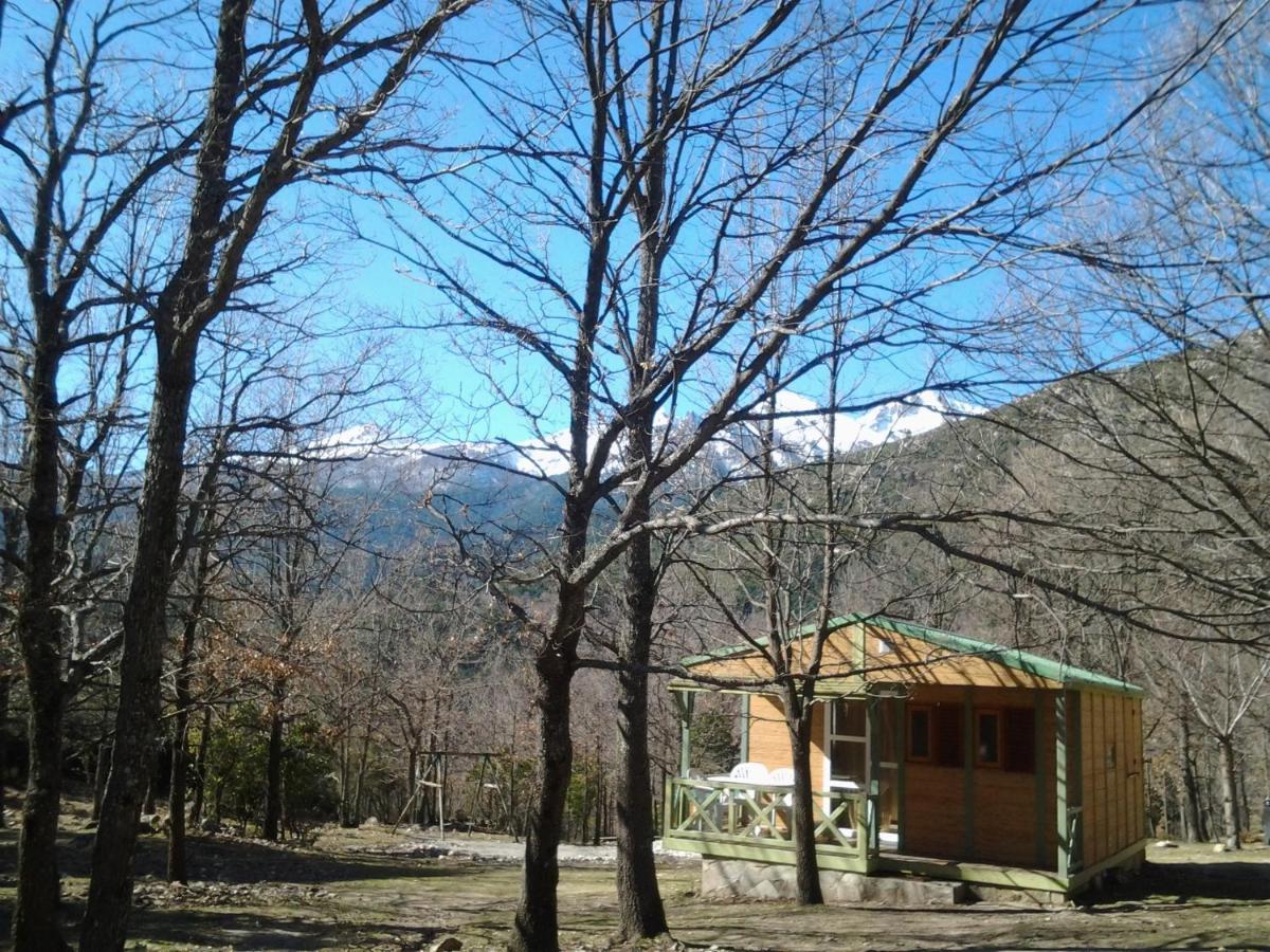 Chalet De Caralba Piscine Villa Ghisoni Exterior photo