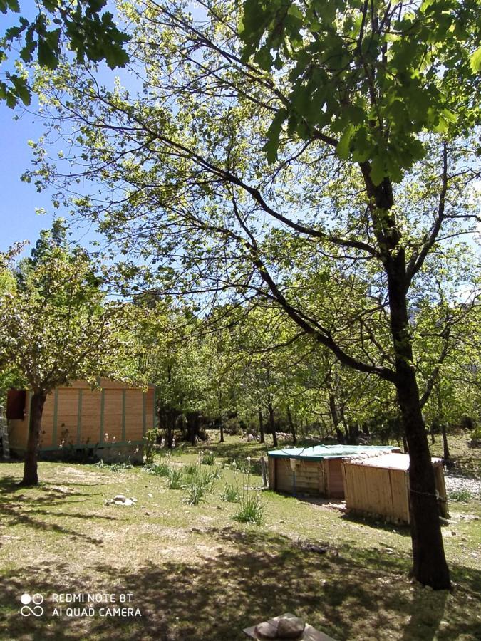 Chalet De Caralba Piscine Villa Ghisoni Exterior photo